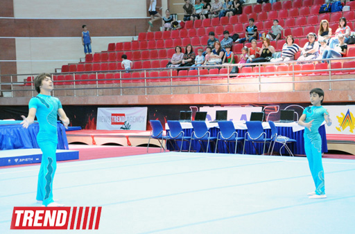 Член техкомитета Международной федерации: У спортивной гимнастики Азербайджана есть хороший задел на будущее (ФОТО)