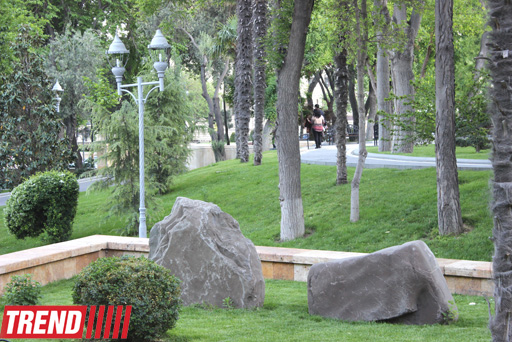 Филармонический сад Баку (фотосессия)