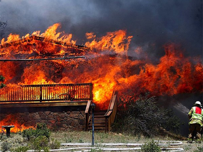 Более 200 пожарных мобилизованы для борьбы с лесными пожарами в Австралии