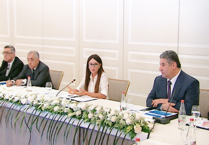 Под председательством Мехрибан Алиевой состоялось второе заседание Организационного комитета первых Европейских игр (ФОТО)