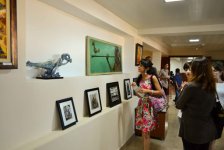 В Исмайыллы состоялось открытие выставки в рамках "Azerbaijan Art Festival-2013" (фото)