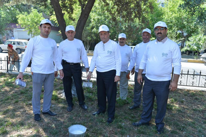 "Zeytun bağları" markası Nizami rayonunda tədbir təşkil etdi (FOTO)