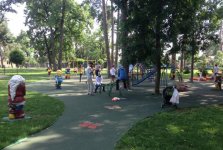 В парке имени Зарифы Алиевой в украинском городе Ирпень проведены экологические мероприятия (ФОТО)