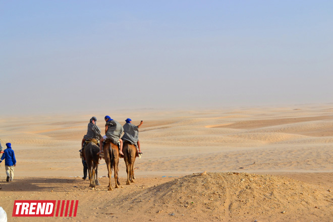Путешествие в Тунис: навязчивые торгаши, талассотерапия, "короли пустынь" (фото, часть 3)