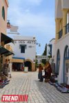 Путешествие в Тунис: выбираем оливковое масло и готовим "кус-кус" (фото, часть 6)