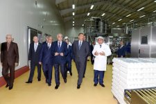Президент Ильхам Алиев ознакомился с животноводческим и молочным комплексом в Кюрдамире (ФОТО)