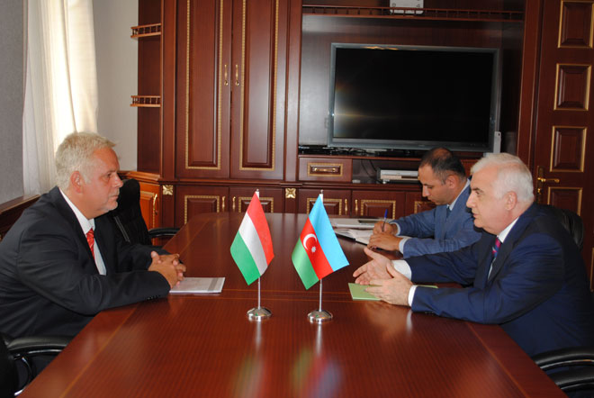 Minister: There is great potential for cooperation between Azerbaijan and Hungary in agrarian sphere