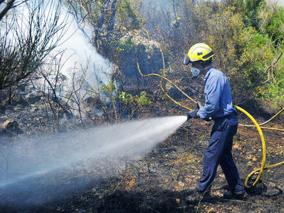 Azerbaycan`da orman yangını kontrol  altlında