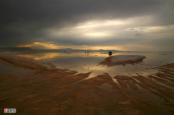 Iranian official claims drying of Urmia lake not dangerous for its species