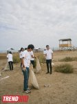 Кампания IDEA организовала акцию по очистке территории Нардаранского пляжа от отходов (фото)