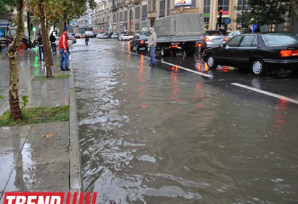 Сильнейший ливень затопил улицы Ташкента