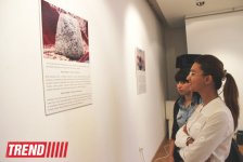 В Баку открылась фотовыставка личных вещей корифеев культуры и искусства (фото)