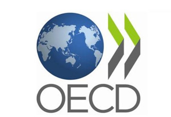 OECD supporting Azerbaijan in designing strategies to foster digital transformation of SME