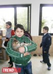 Кампания IDEA организовала поездку школьников в Азербайджанский центр спасения животных (ФОТО)