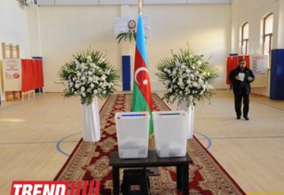В Азербайджане органы исполнительной власти и полиция не вмешивались в ход голосования на выборах - международные НПО