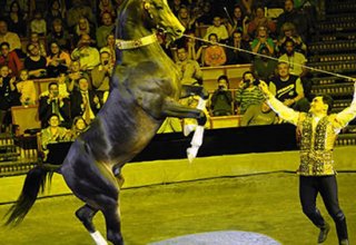 Туркменские всадники завоевали главный приз Всемирного фестиваля циркового искусства «Идол»