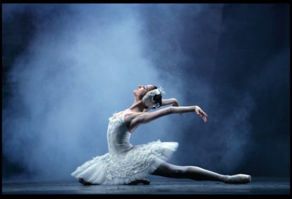 Звезда классического балета Ольга Гайко выступит в Баку