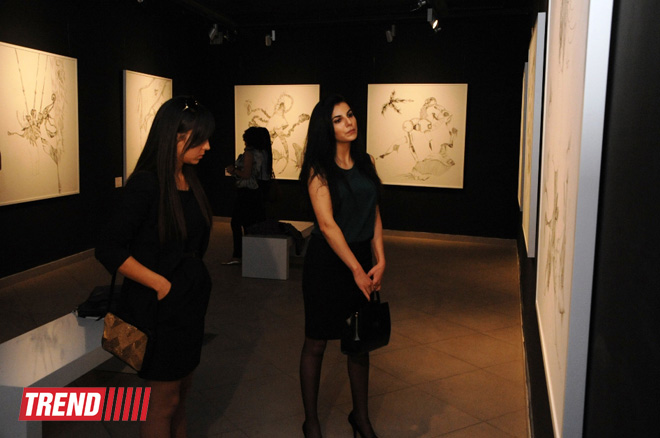 В галерее "YAY" открылась персональная выставка Али Гасанова "Vise-Versa" (ФОТО)