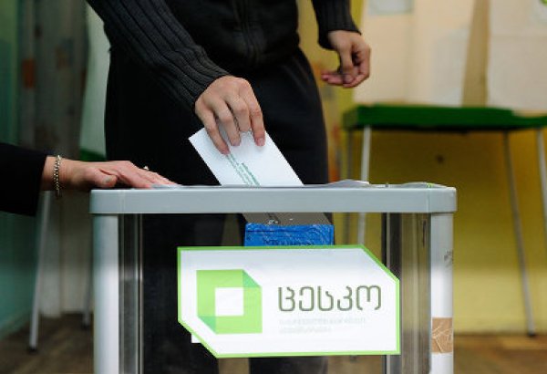 Local observers: Georgian presidential election held in organized and calm manner
