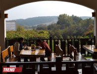 Прогулка по Болгарии: В винной избе Starosel, или как по-древне-фракийски лечит вино (фото, часть 5)