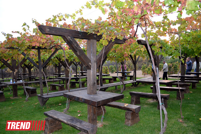 Прогулка по Болгарии: В винной избе Starosel, или как по-древне-фракийски лечит вино (фото, часть 5)