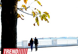 Azərbaycanda evlilik yaşı qocalır