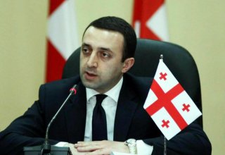 Премьер-министр Грузии призвал «Свободных демократов» в полном составе присутствовать на расширенном заседании политсовета правящей коалиции