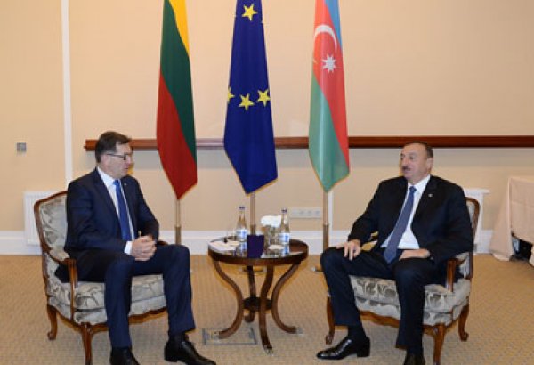 Президент Азербайджана встретился с премьером Литвы (ФОТО)