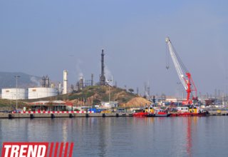 Petkim container port to receive first vessels in future - SOCAR Turkey Enerji