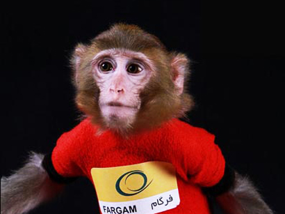 Iran’s second "astronaut monkey" safely returns from Space