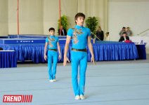İdman gimnastikası, akrobatika və tamblinq üzrə birləşmiş Azərbaycan çempionatının qalibləri müəyyənləşib (FOTO)