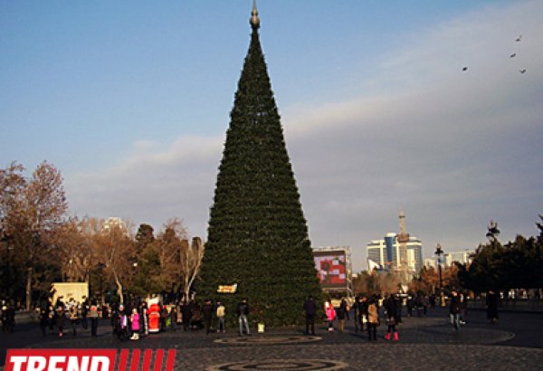 На Бакинском бульваре установят десять новогодних елок