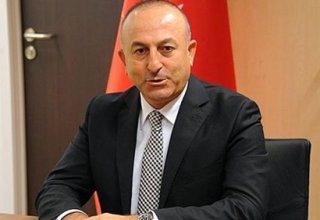 Министр Турции по делам ЕС дал оценку заявлениям еврокомиссара Фюле