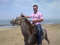 Азербайджанские знаменитости, которые любят лошадей (ФОТО)