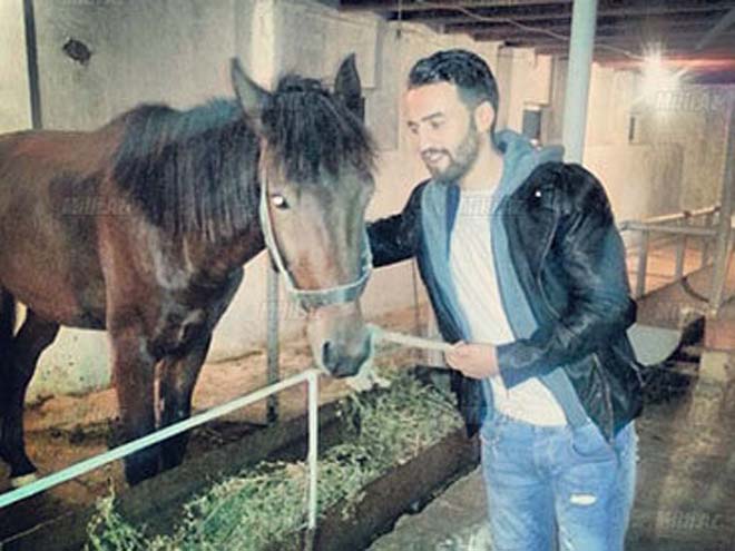 Азербайджанские знаменитости, которые любят лошадей (ФОТО)