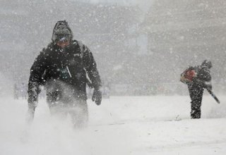 На востоке Канады из-за снегопада не работают школы, нарушено паромное и авиасообщение
