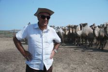 Азербайджанский "Степняк" назван лучшим в Израиле (ФОТО)