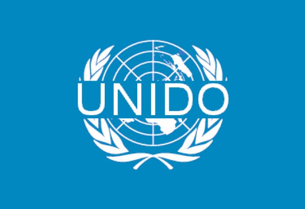 UNIDO permanent representative of Turkmenistan appointed