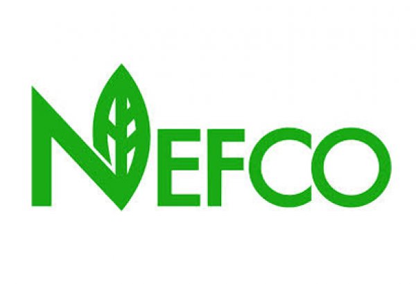 Scandinavian NEFCO ready to finance environmental projects in Georgia