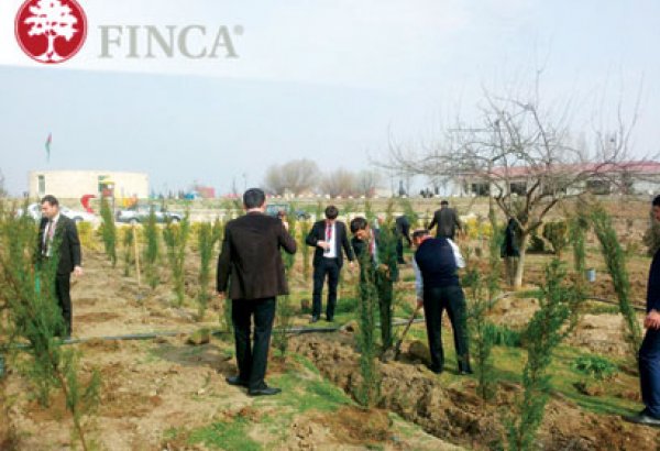 "FINCA Azerbaijan"ın Salyan filialı ağacəkmə aksiyası keçirib