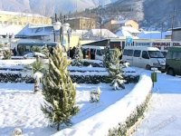 Снежная погода создала ряд проблем в регионах Азербайджана (ФОТО)