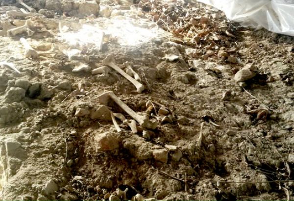 В Зангилане и Джебраиле начнутся поиски останков лиц, пропавших без вести в период 1-й Карабахской войны