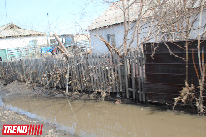 В одном из сел Лянкяранского района эвакуировано население и домашний скот