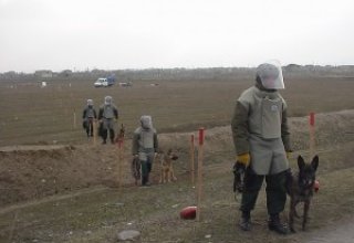В Азербайджане расширят подготовку собак  для работ по поиску мин - ANAMA