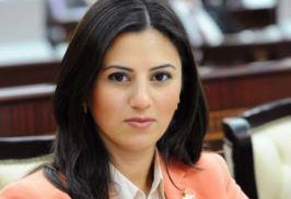 Azerbaijani MP named head of PACE committee