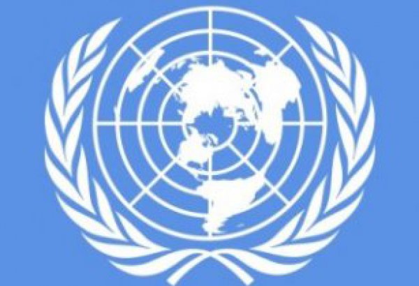 Head of UN Regional Centre for Central Asia appointed