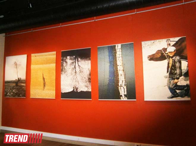 В Баку открылась выставка молдавского фотохудожника Михая Потырнике (ФОТО)
