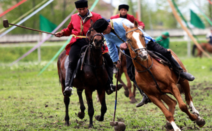 Карабахские кони с давних времен выводятся на территории Азербайджана - министерство