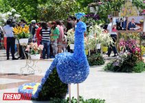 Baku hosts Flower Festival (PHOTO)