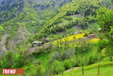 Весна в Грузии, или еще раз о туристических достопримечательностях Сакартвело (ФОТО, часть 2)